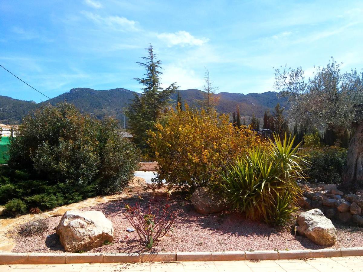 Casa Rural El Carmen De La Sierra イエクラ エクステリア 写真