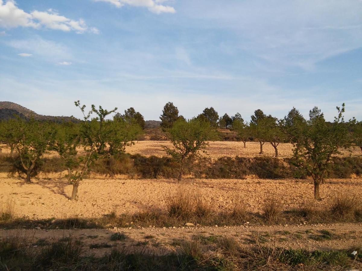 Casa Rural El Carmen De La Sierra イエクラ エクステリア 写真