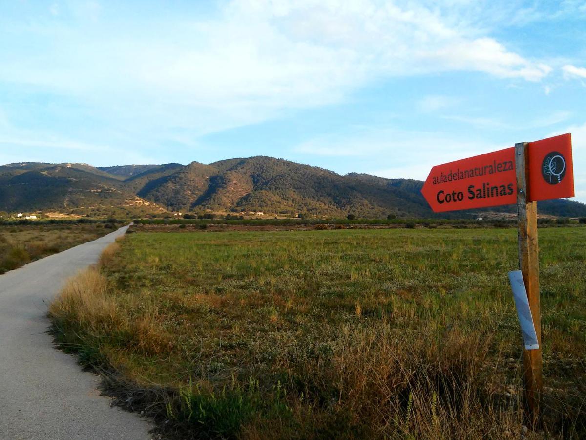 Casa Rural El Carmen De La Sierra イエクラ エクステリア 写真