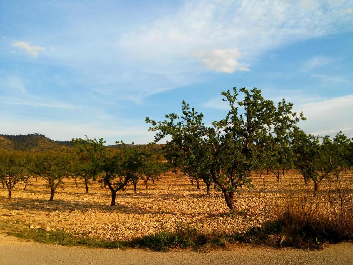 Casa Rural El Carmen De La Sierra イエクラ エクステリア 写真