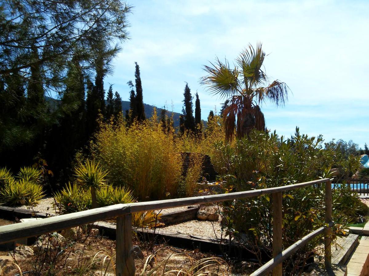 Casa Rural El Carmen De La Sierra イエクラ エクステリア 写真