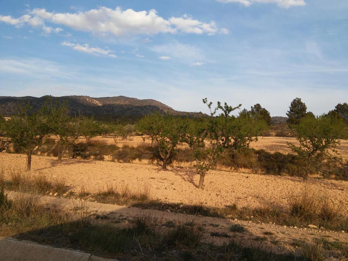Casa Rural El Carmen De La Sierra イエクラ エクステリア 写真