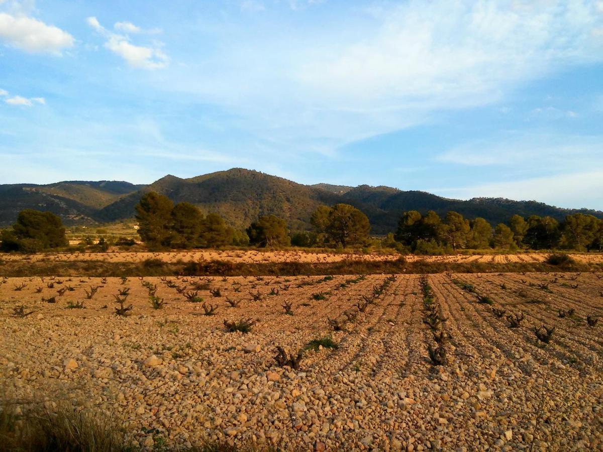 Casa Rural El Carmen De La Sierra イエクラ エクステリア 写真