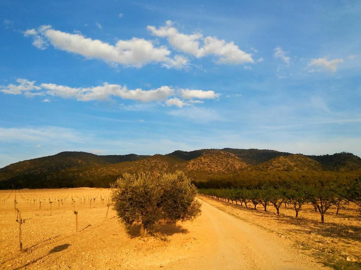 Casa Rural El Carmen De La Sierra イエクラ エクステリア 写真