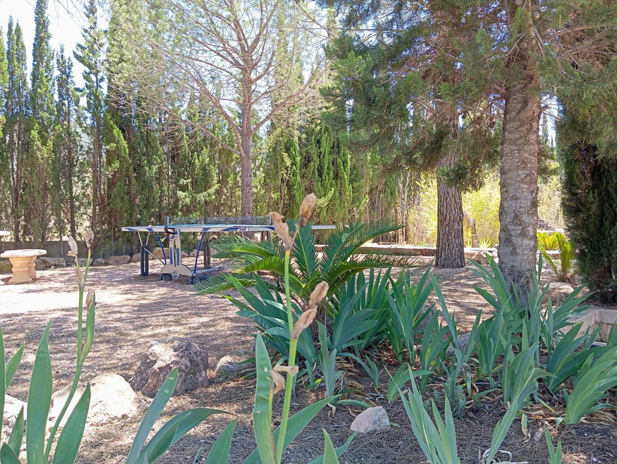 Casa Rural El Carmen De La Sierra イエクラ エクステリア 写真